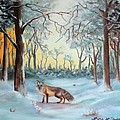 The Sneaky Red Fox